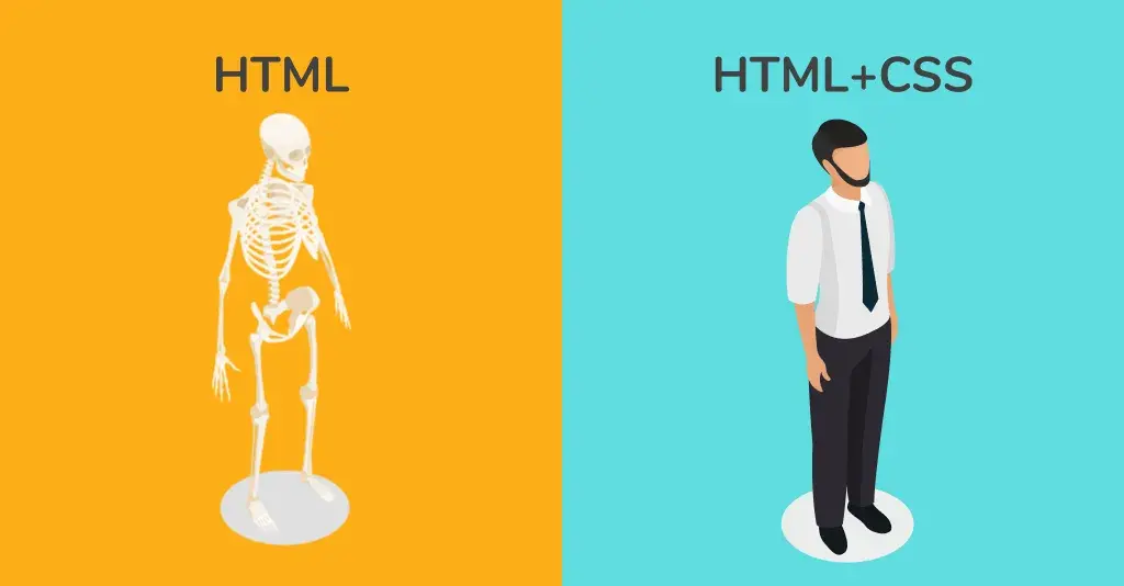 بهترین روش یادگیری طراحی سایت