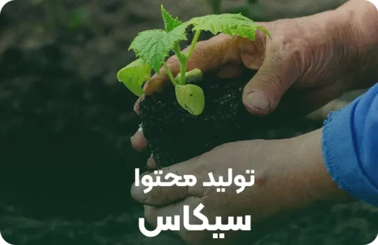 تولید محتوا گلخانه سیکاس در چرخه رشد تمشک